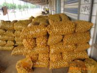 肥城潤通進出口貿(mào)易 日用品貿(mào)易的穩(wěn)健發(fā)展之路